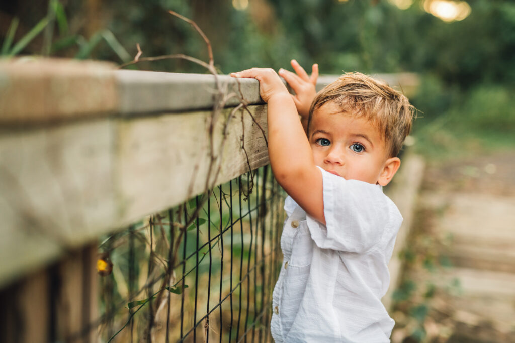 sarasota photographer