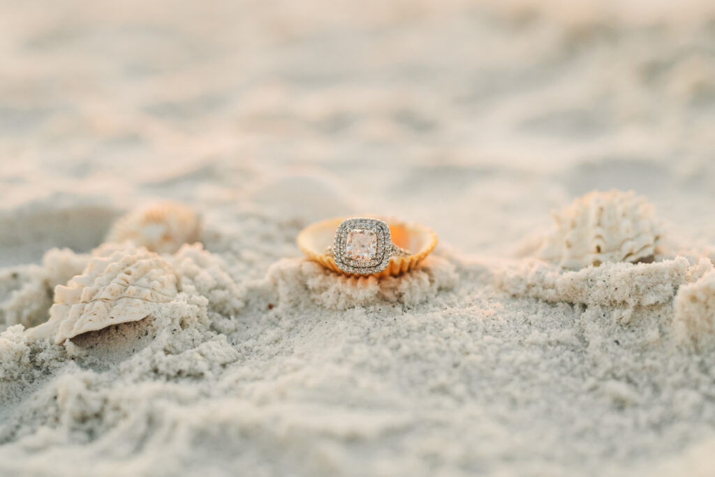 siesta key photographer